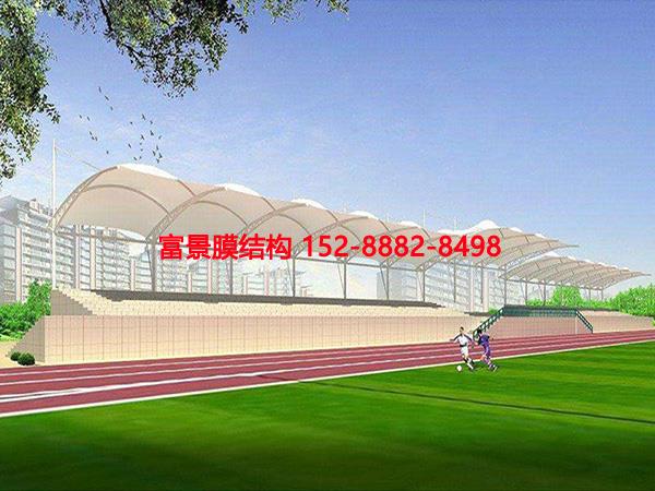 Ĥ�Y�����_