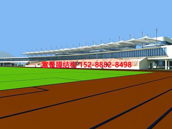 Ĥ�Y�����_