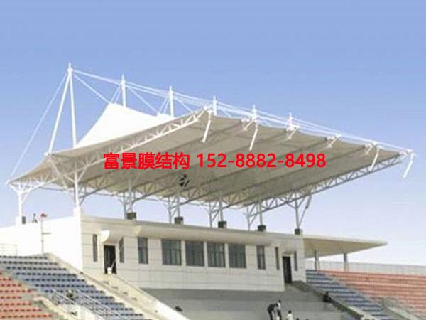 Ĥ�Y�����_